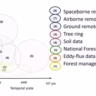 Observations available to estimate forest carbon changes at different spatial and temporal scales