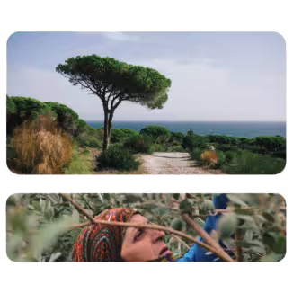 mediterranean landscapes and people