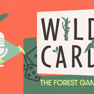 Social Media card for "The Forest Game" podcast