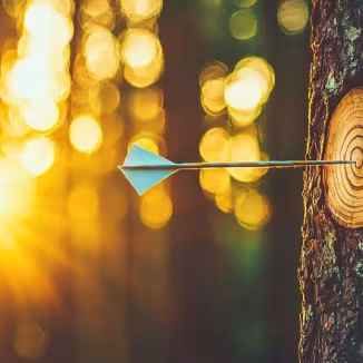 decorative photo of a tree