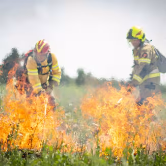 Two firefighters in protective gear work amid active flames during a controlled grassland burn. Bright orange fire spreads across dry vegetation in the foreground, while the firefighters use hand tools to manage the fire line. Smoke rises into the air, partially obscuring a grassy landscape and trees in the background.