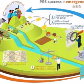 graph shows the various elements that form payments for ecosystem services and their interactions