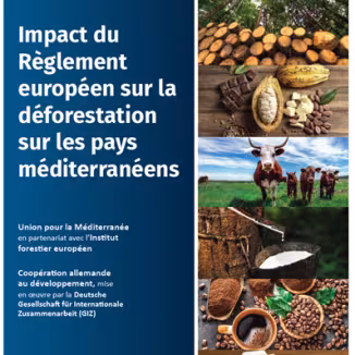 EUDR report french version