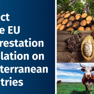 images from the front cover of the EUDR Mediterranean publication