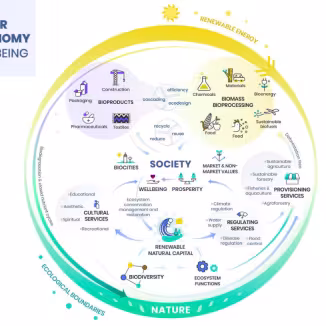 this graph shows what circular bioeconomy of well-being includes