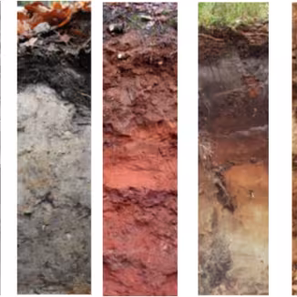 Different soil types: Leptosol, Gleysol, Luvisol, Podsol, Cambisol