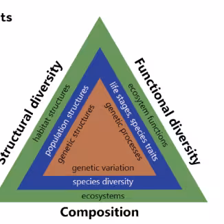 main elements of forest biodiversity