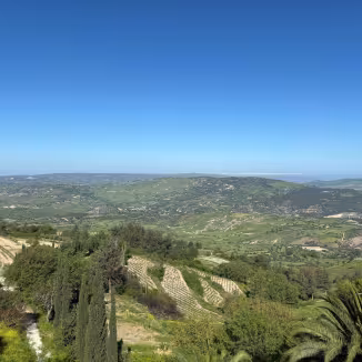 Landscape of mediterranean forest in Cyprus