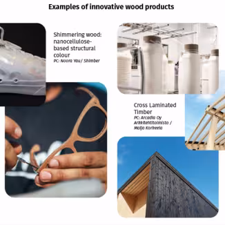 examples of innovative wood products