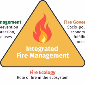graph shows the dimensions of integrated forest management, which are fire management, governance and ecology.