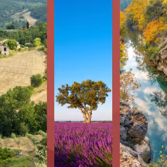 three types of Mediterranean landscape