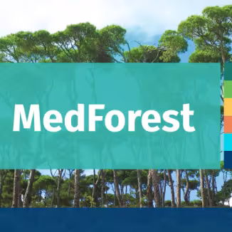 MedForest title with Mediterranean trees