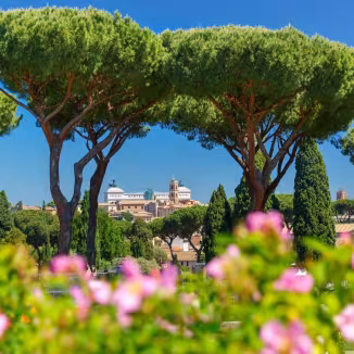 A scenic view of Rome framed by the canopy of iconic stone pine trees, with the Altare della Patria visible in the distance beyond an urban forest.