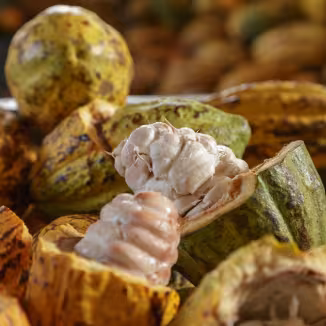 Cocoa beans
