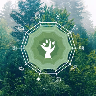 A green spiderweb diagram with a central tree icon overlays a lush forest, featuring various small white icons representing different readiness dimensions.