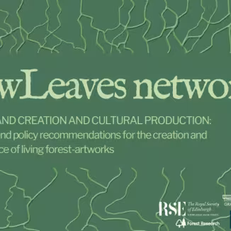 the newLeaves network logo