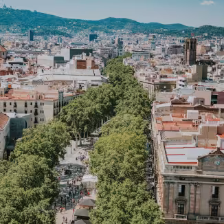 urban forest in Barcelona city