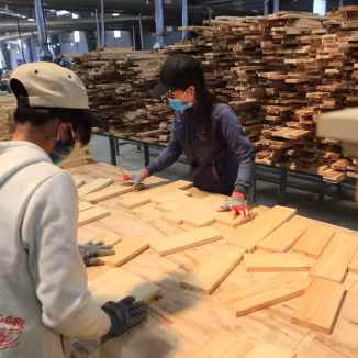 Workers in acacia panel production in Vietnam