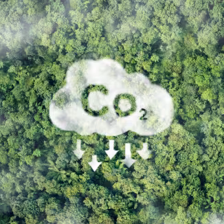 Carbon farming