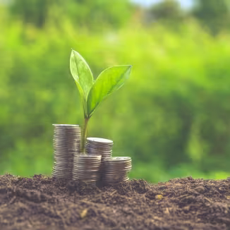 Forest finance 