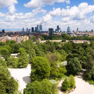 urban forest