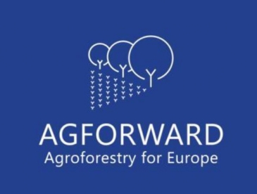 agforward logo