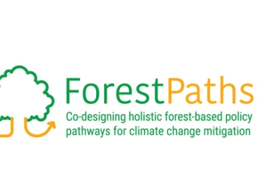 ForestPaths logo