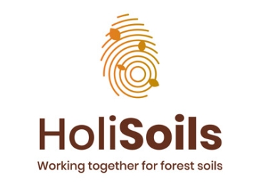 HoliSoils logo