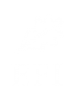 EFI logo