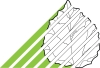 IFER logo