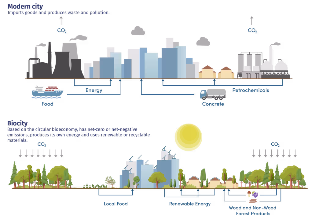 Comparison of a modern city and a biocity
