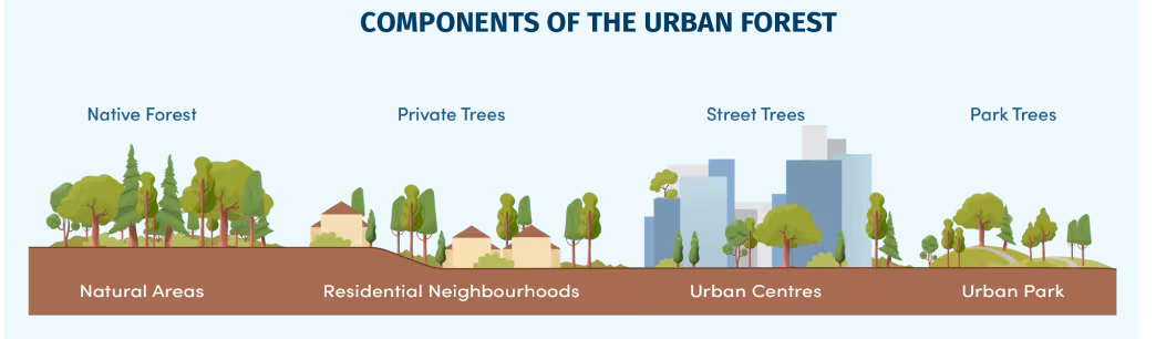 components of an urban forest