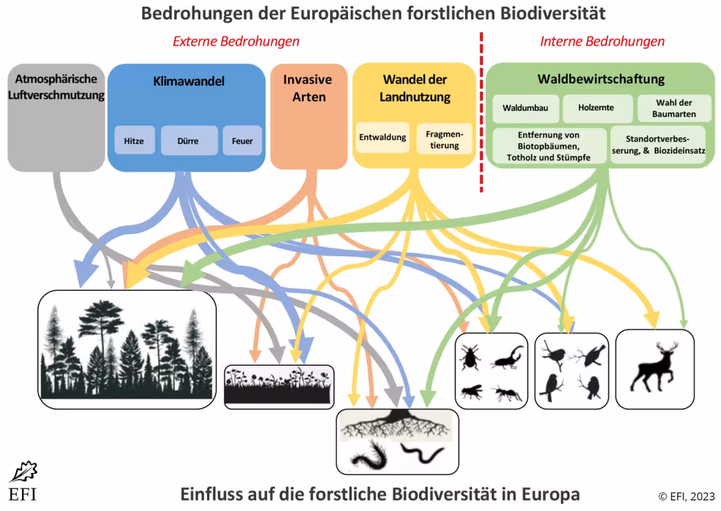 This graphs shows the threats and impacts to European forest biodiversity