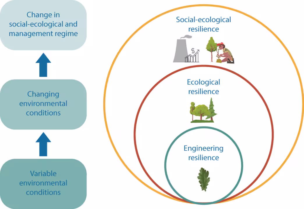 illustration showing three circles of engineering, ecological and social-ecological resilience