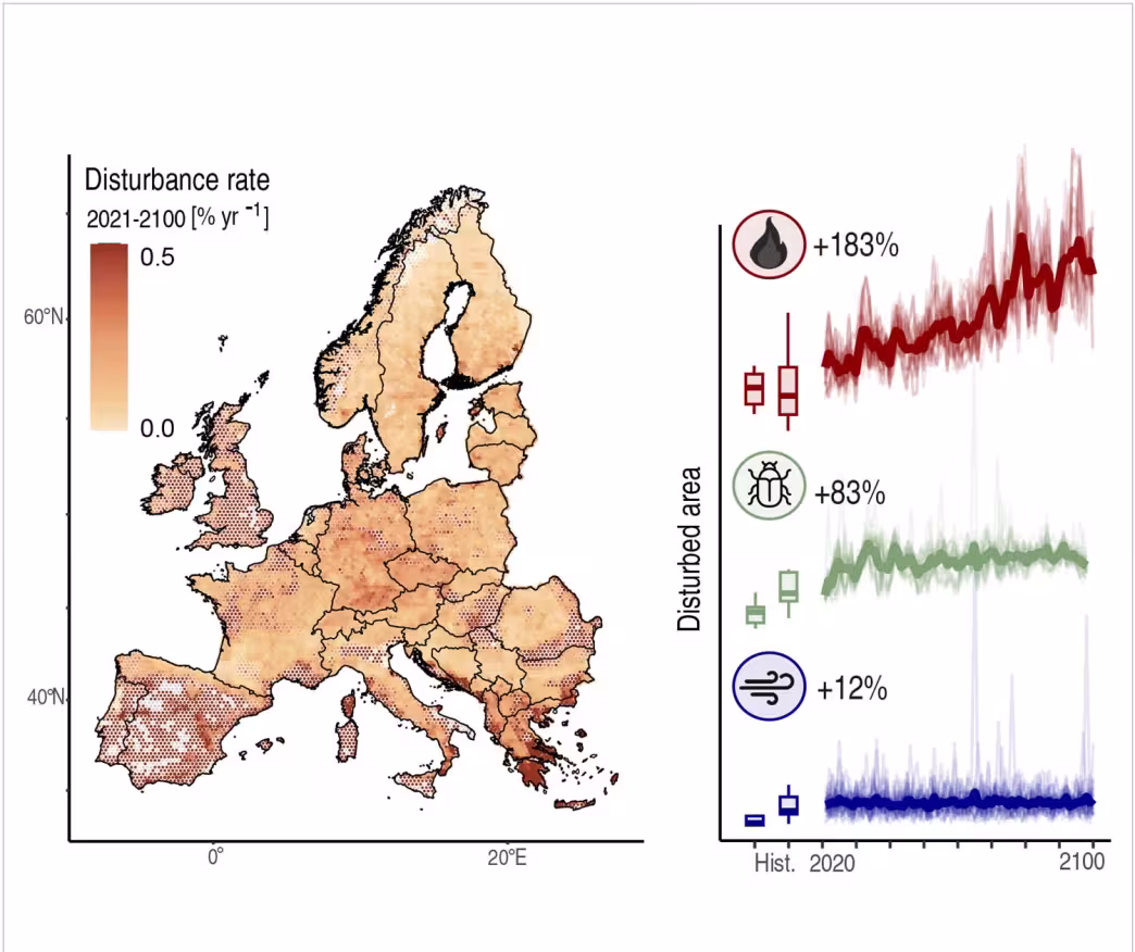 A new modelling framework simulates future trajectories of forest disturbance at high spatial resolution  (100 &times; 100 m) across all of Europe (187 million hectares of forests) until 2100 under different climate change scenarios.