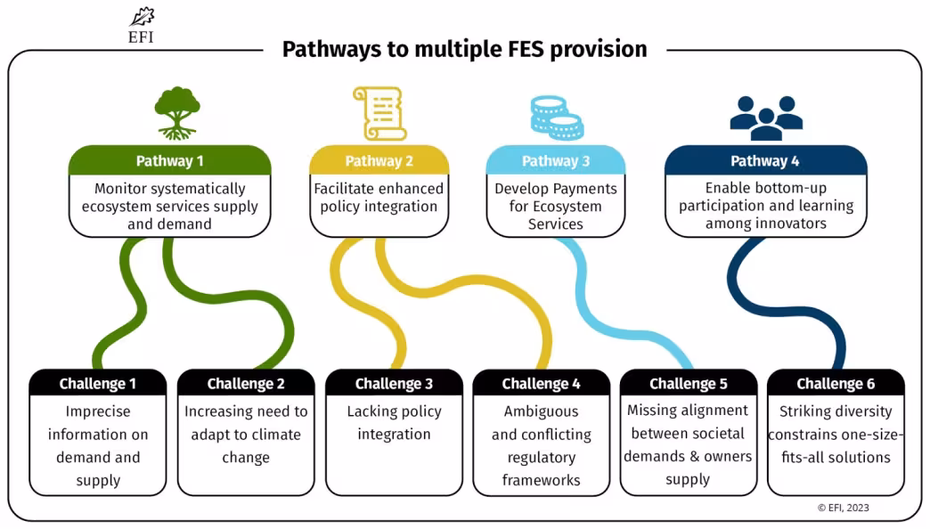 Pathways to multiple forest ecosystem services (FES) provision