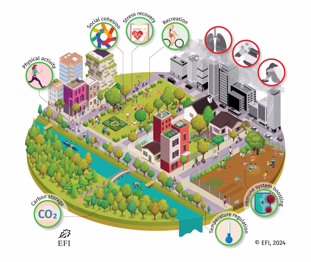 Urban greening contributes to health promoting behaviours, reduces the negative impact of climate change, and stimulates a healthy development of the immune system.
