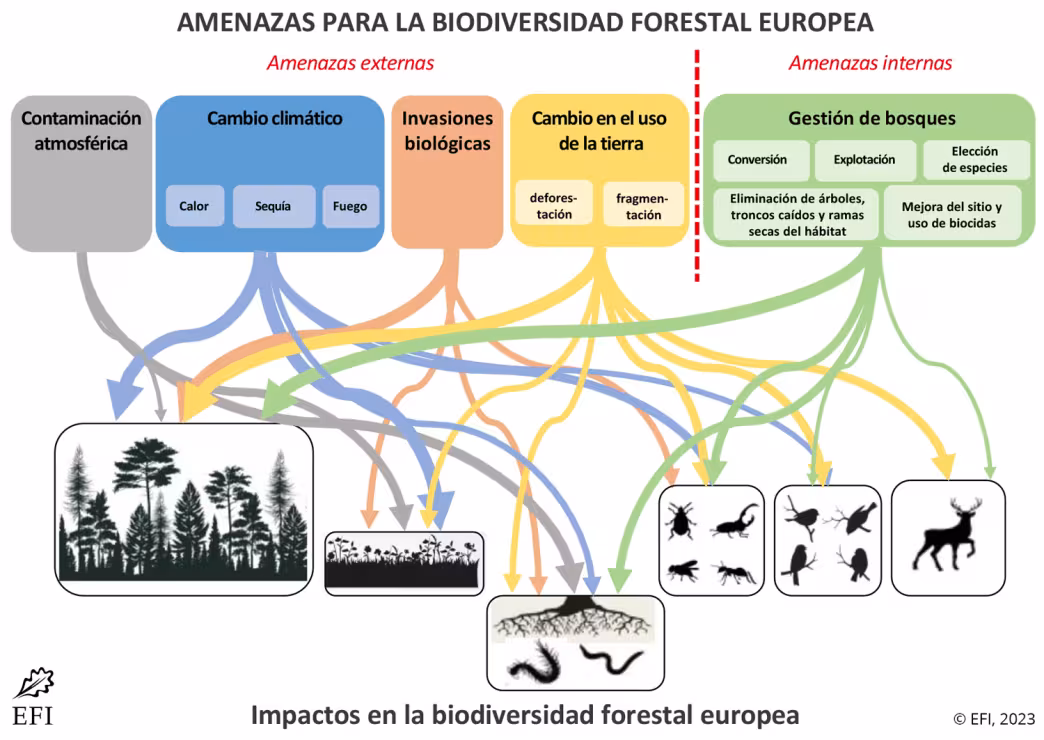 AMENAZAS PARA LA BIODIVERSIDAD FORESTAL EUROPEA