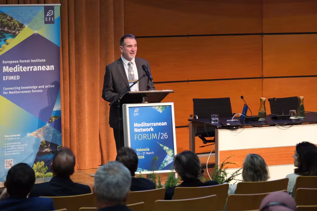 Michele Bozzano, Head of Engagement, European Forest Institute.