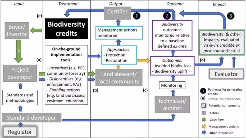 Theory of change diagram for biodiversity credits: current and potential function.