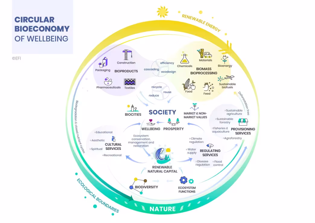 this graph shows what circular bioeconomy of well-being includes