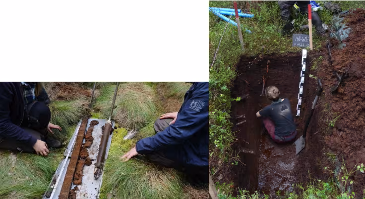 Photos shows peatland sampling.