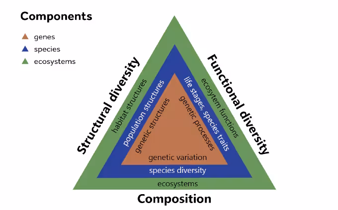main elements of forest biodiversity