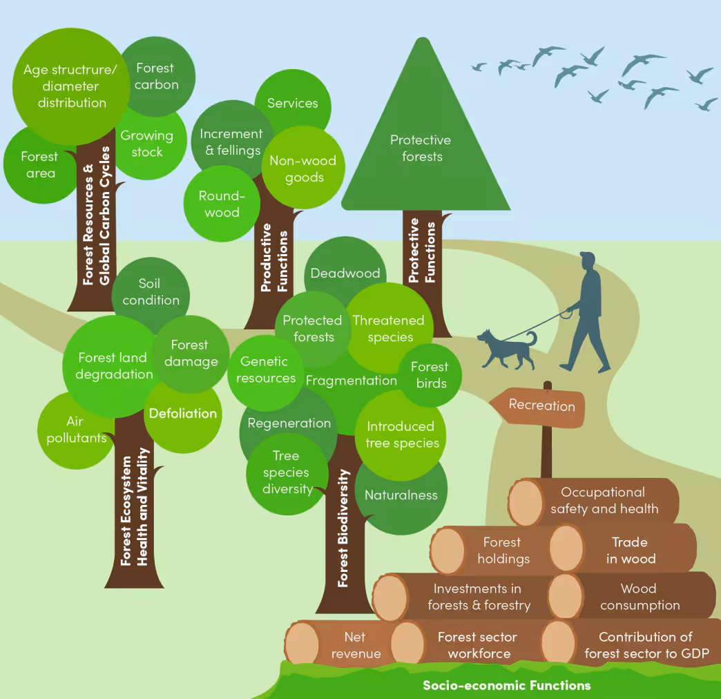 graph shows indicators for sustainable forest management