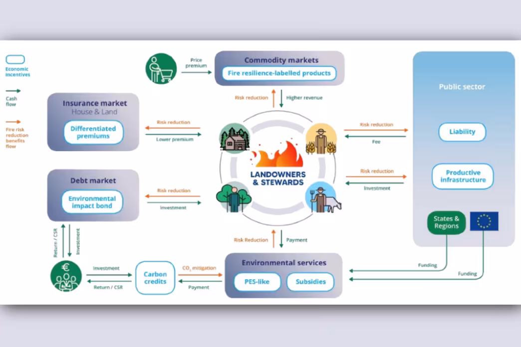 Diagram of the wildfire-risk economic incentives landscape