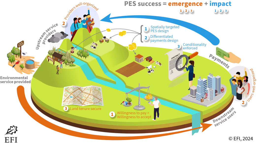 graph shows the various elements that form payments for ecosystem services and their interactions