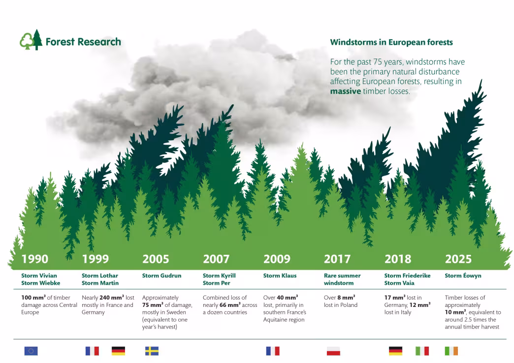 infograph shows major windstorms in European forests 1990-2025