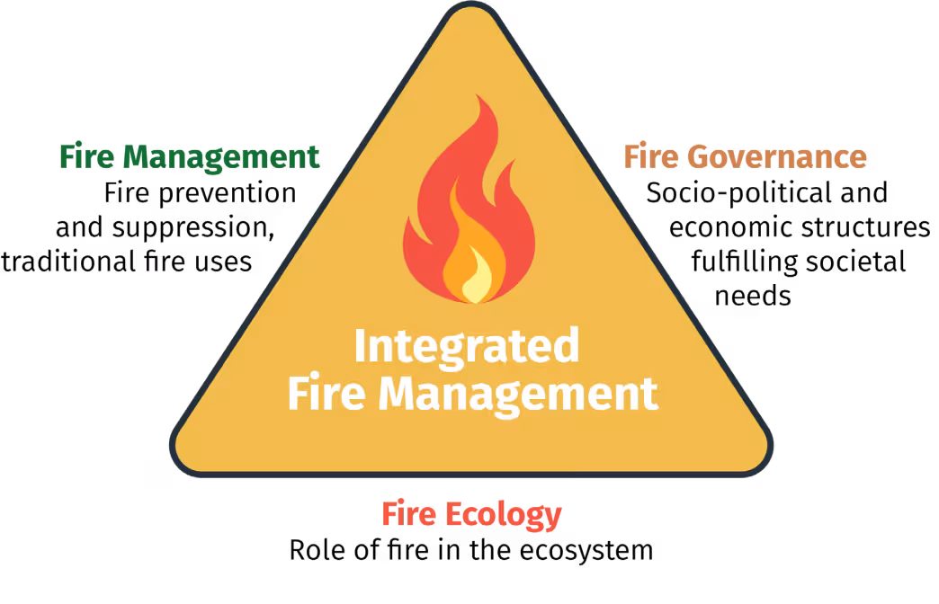 This figure shows the dimensions for integrated forest management, which are fire management, governance and ecology. 