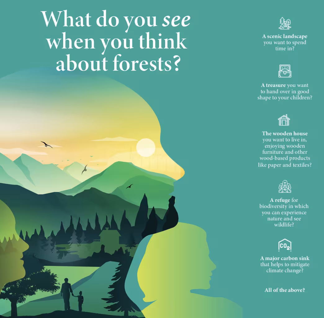 graphs shows the different things people values about forests