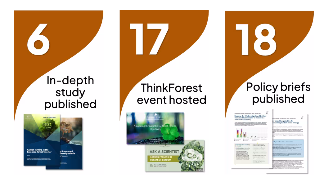 Policy Support 2021-2025 by numbers